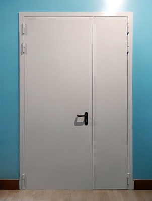 Глухая полуторная дверь ei-60